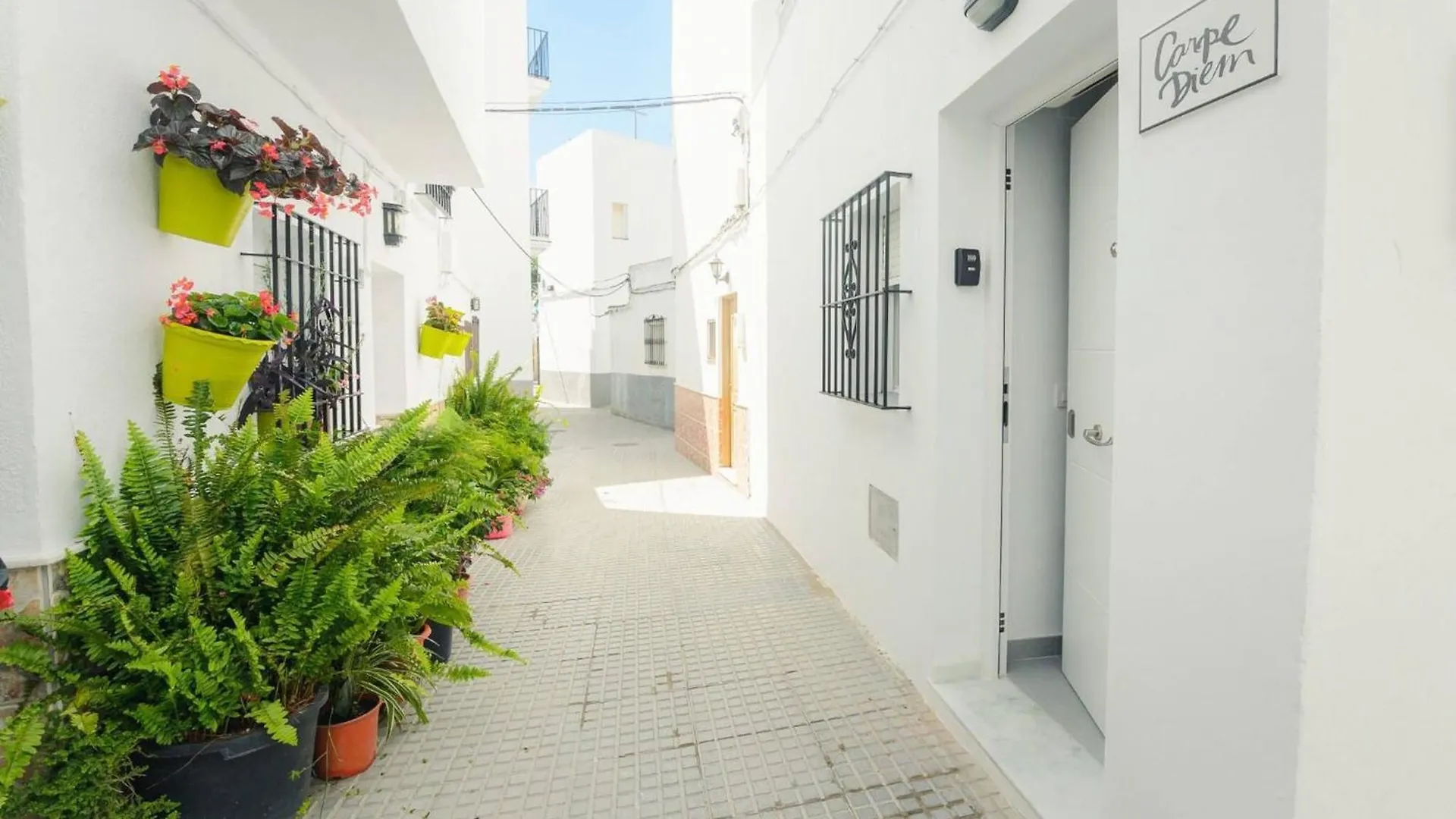 Apartamento Carpe Diem - Ole Solutions Conil De La Frontera